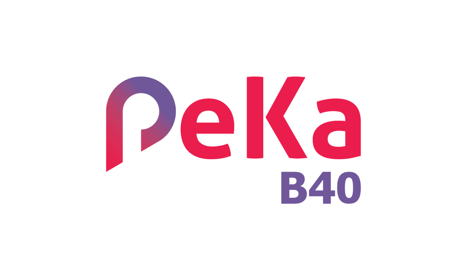 Logo PeKa B40